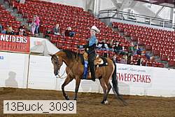 13buck_3099 proof