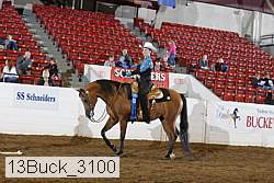 13buck_3100 proof