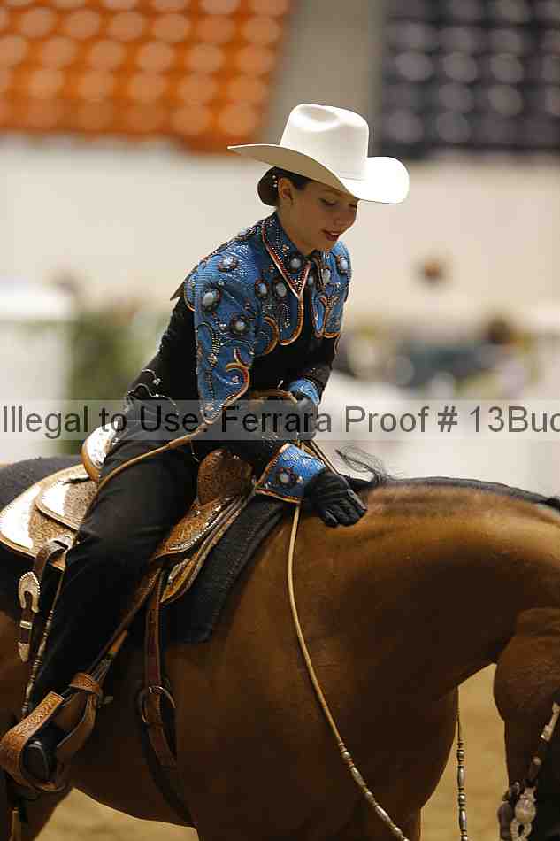 Proof 13buck_3104