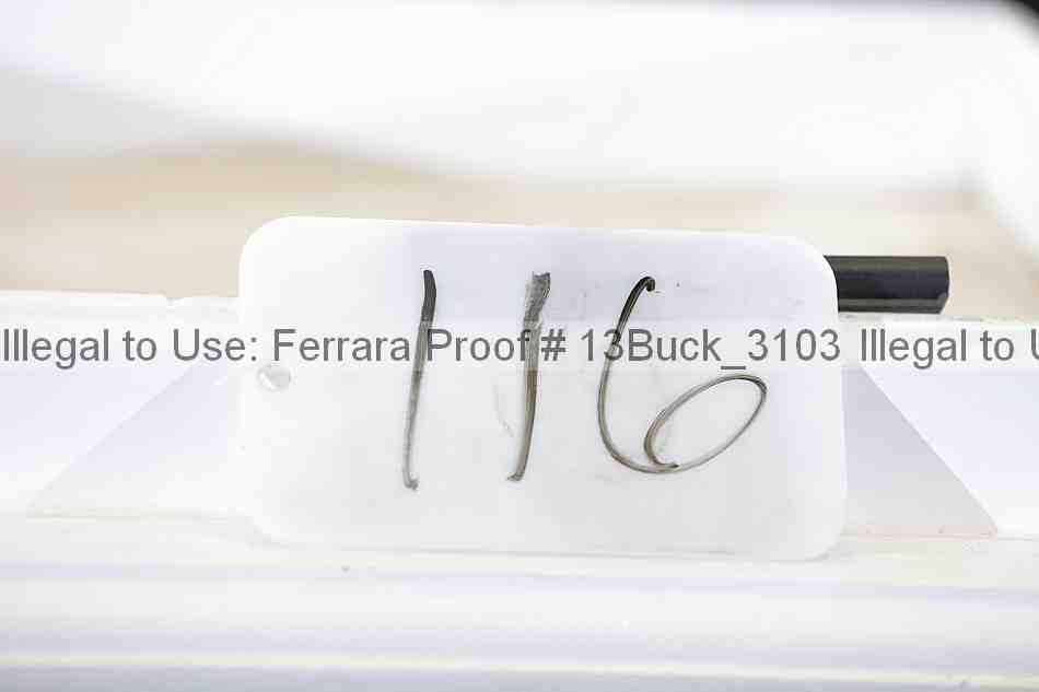 Proof 13buck_3103