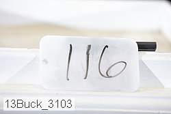 13buck_3103 proof
