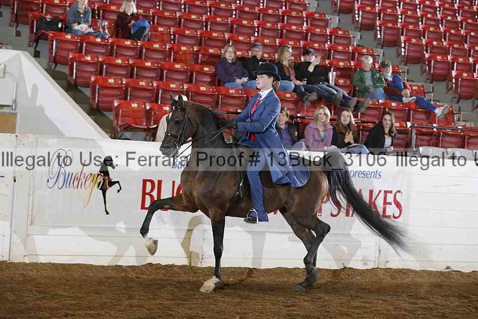 Proof 13buck_3106