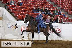 13buck_3106 proof
