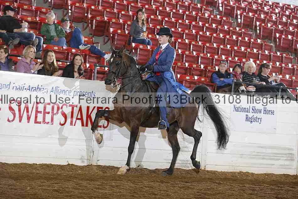 Proof 13buck_3108
