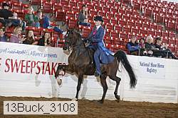13buck_3108 proof
