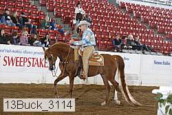 13buck_3114 proof