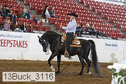 13buck_3116 proof