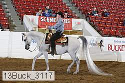 13buck_3117 proof