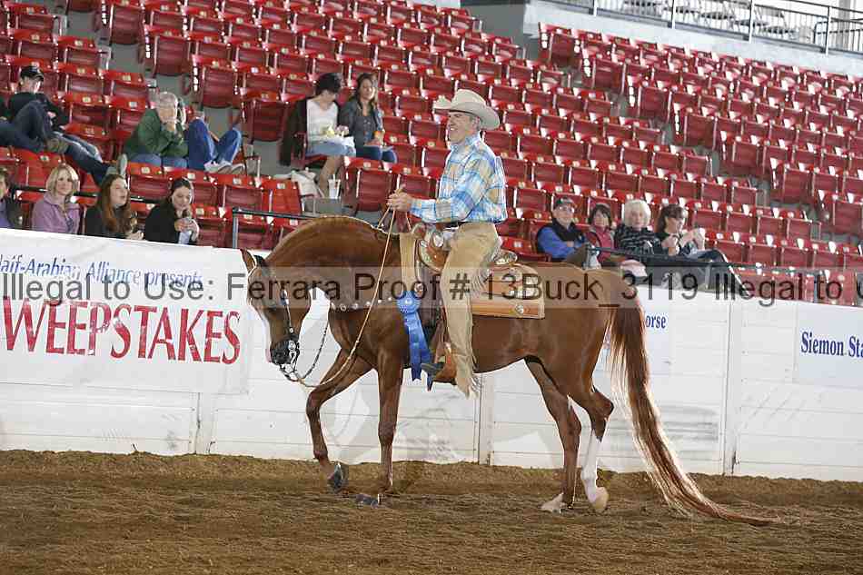 Proof 13buck_3119