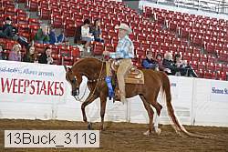 13buck_3119 proof