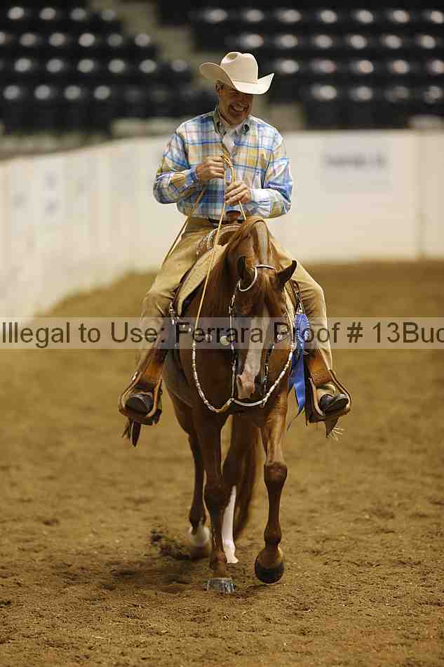 Proof 13buck_3123