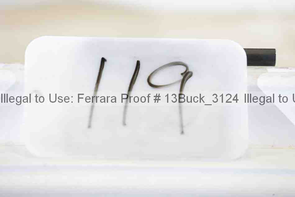 Proof 13buck_3124