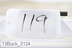 13buck_3124 proof