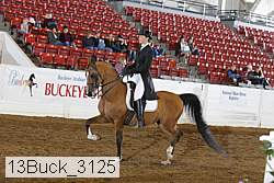 13buck_3125 proof