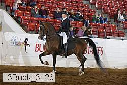 13buck_3126 proof