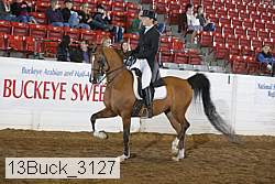 13buck_3127 proof