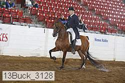 13buck_3128 proof