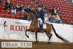 13buck_3129 proof