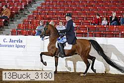 13buck_3130 proof