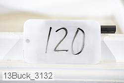 13buck_3132 proof