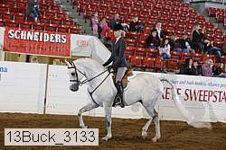 13buck_3133 proof