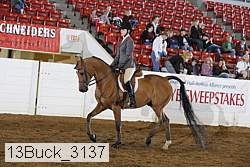 13buck_3137 proof