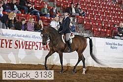 13buck_3138 proof