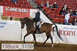 13buck_3139 proof