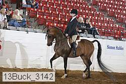 13buck_3142 proof