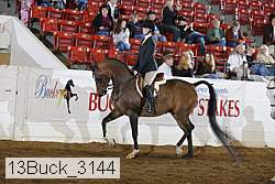 13buck_3144 proof