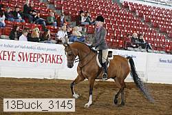 13buck_3145 proof