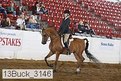 13buck_3146 proof