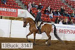 13buck_3147 proof