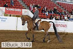 13buck_3149 proof