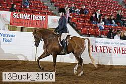 13buck_3150 proof