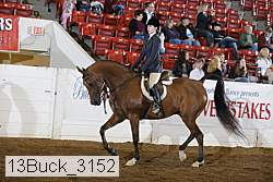 13buck_3152 proof