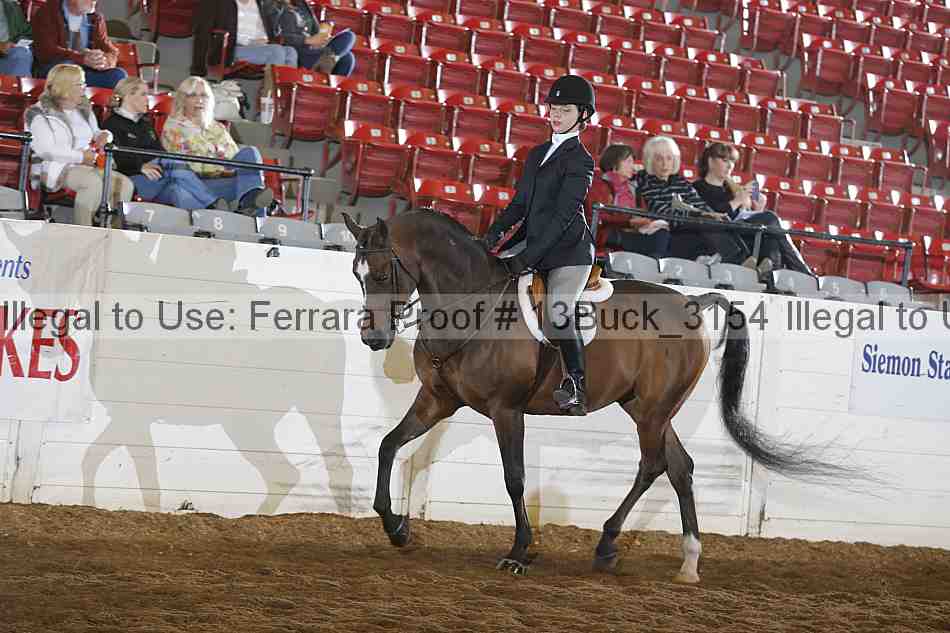 Proof 13buck_3154