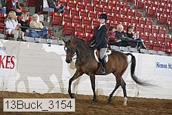 13buck_3154 proof