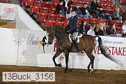 13buck_3156 proof