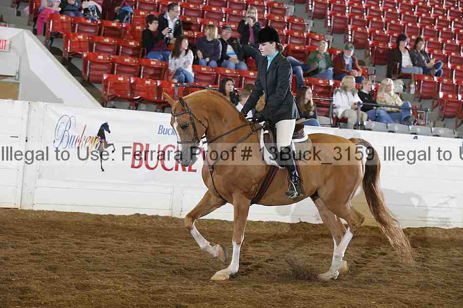 Proof 13buck_3159