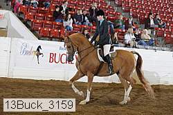 13buck_3159 proof