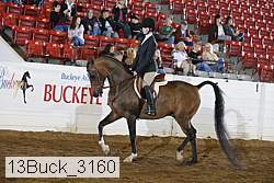 13buck_3160 proof