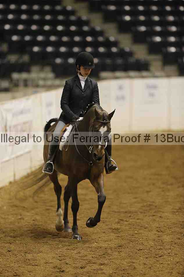 Proof 13buck_3161