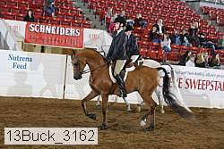 13buck_3162 proof