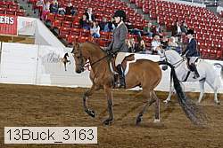 13buck_3163 proof