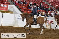 13buck_3165 proof