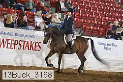 13buck_3168 proof