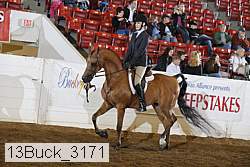 13buck_3171 proof