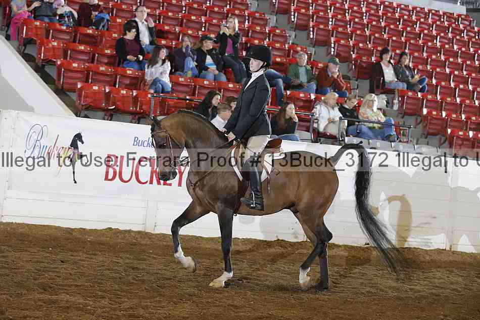 Proof 13buck_3172