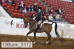 13buck_3172 proof